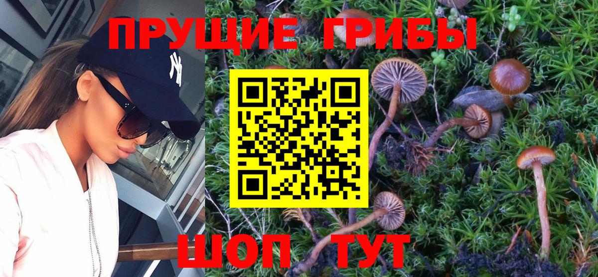 Псилоцибиновые грибы Cubensis  Вход с VPN  дарнет шоп  Псилоцибиновые грибы Psilocybine cubensis  Похвистнево 