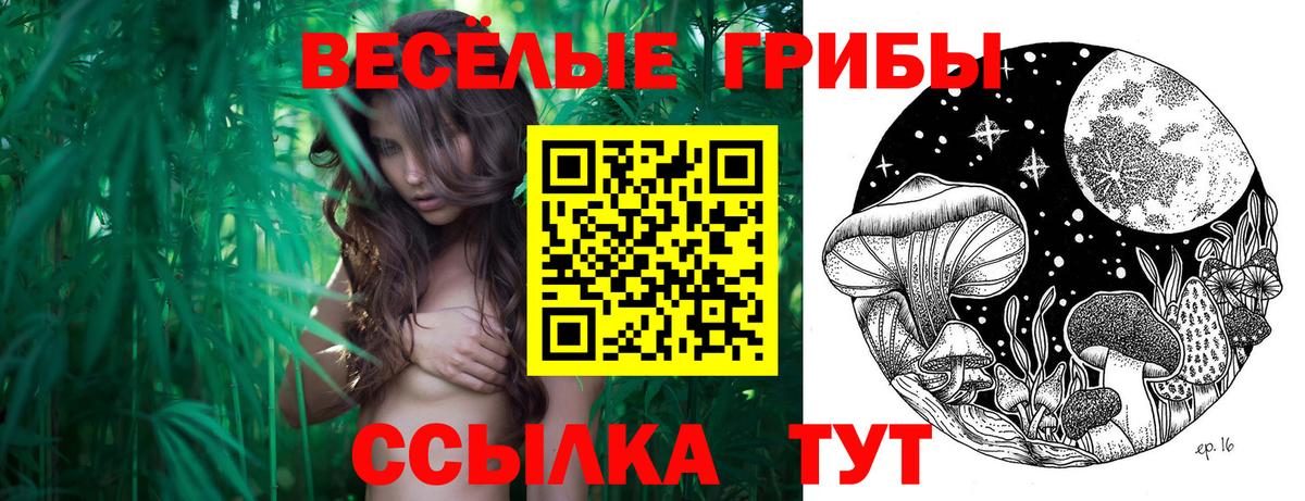 Галлюциногенные грибы прущие грибы Похвистнево