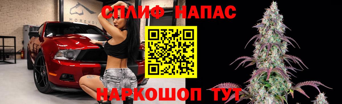 Конопля гибрид Похвистнево